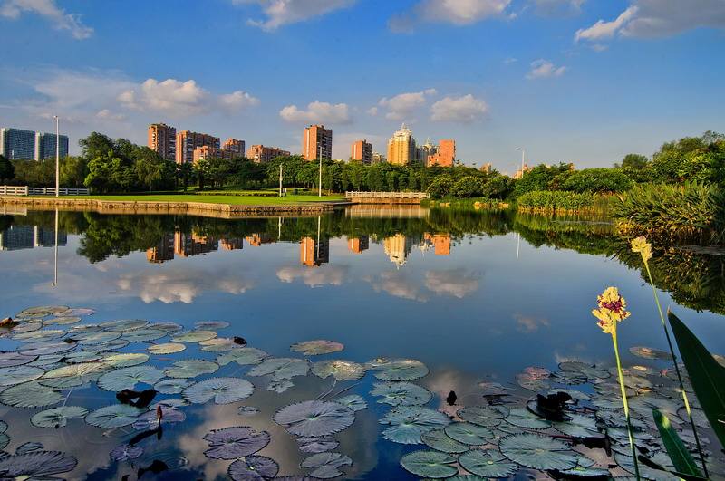 順德區(qū)建設(shè)項目環(huán)評審批改革方案