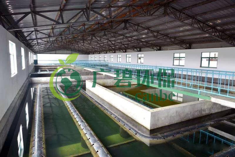 什么是制糖廢水？制糖廢水處理技術(shù)(圖1)