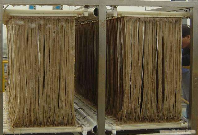 MBR污泥膨脹怎么處理？污泥膨脹的處理方法