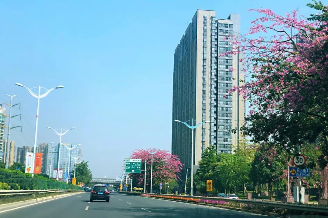 環(huán)境部印發(fā)《規(guī)劃環(huán)評技術(shù)導(dǎo)則 總綱》，項目環(huán)評部分章節(jié)可簡化