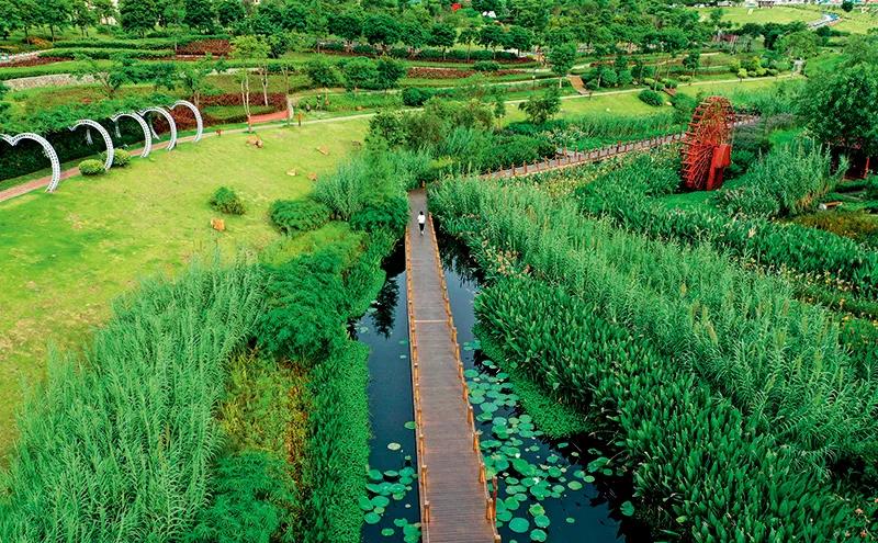 部分黑臭水體出現(xiàn)反彈，治理難在哪兒？