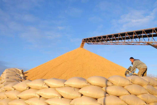 土壤修復市場，該火了！(圖2)