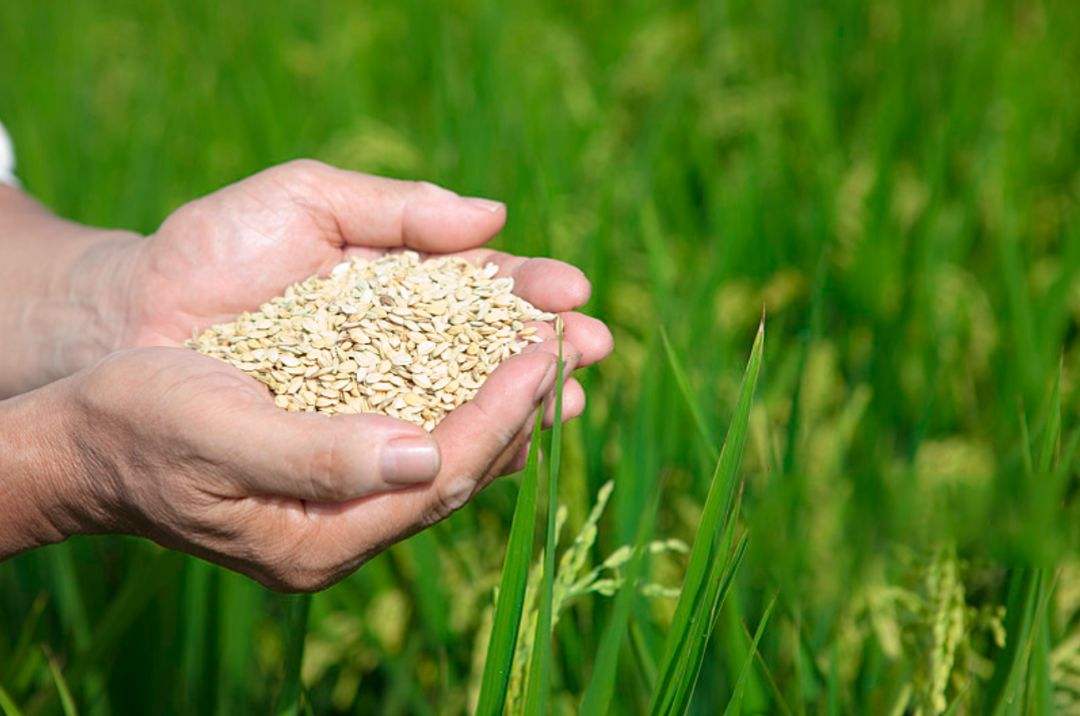 土壤修復市場，該火了！(圖3)